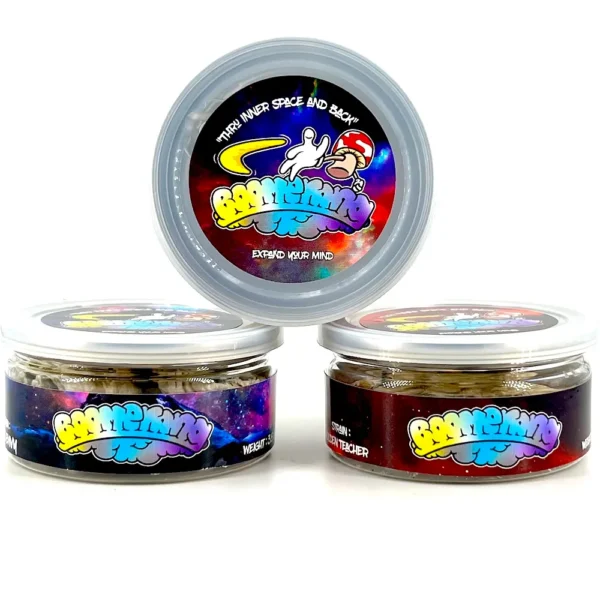 BOOMERANG 3.5G MAGIC MUSHROOM QUEST CANS